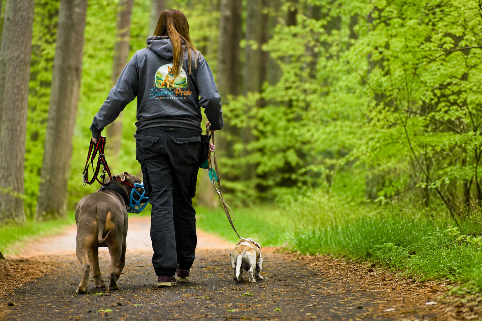 Professional dog walking service
